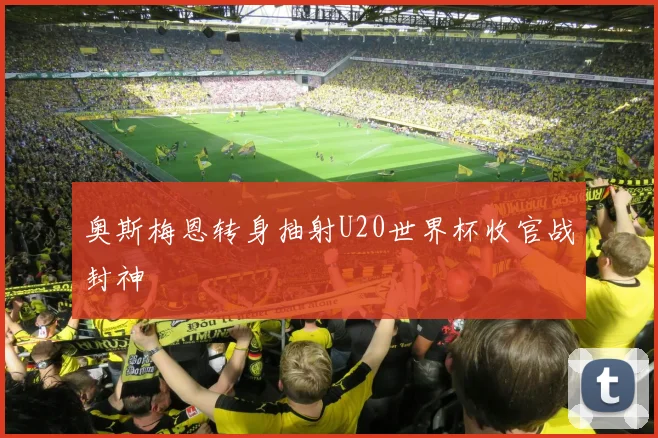 奥斯梅恩转身抽射U20世界杯收官战封神