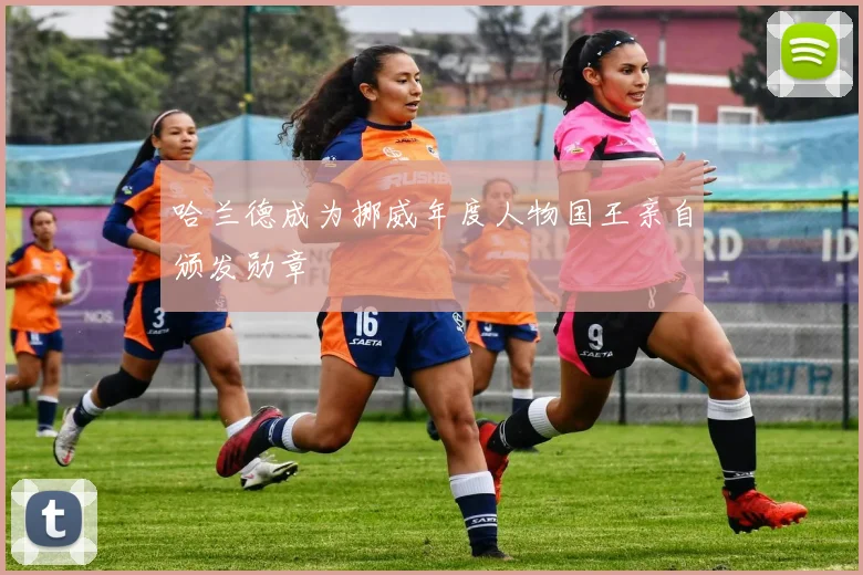 哈兰德成为挪威年度人物国王亲自颁发勋章