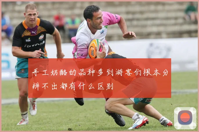 手工奶酪的品种多到游客们根本分辨不出都有什么区别