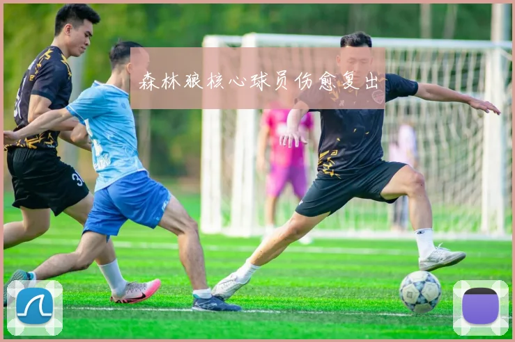 森林狼核心球员伤愈复出