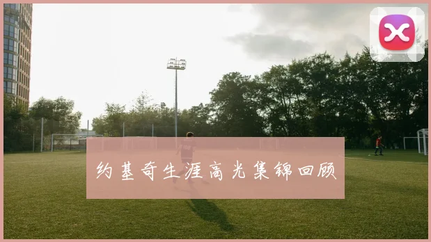 约基奇生涯高光集锦回顾