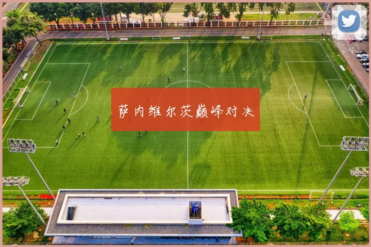 萨内维尔茨巅峰对决