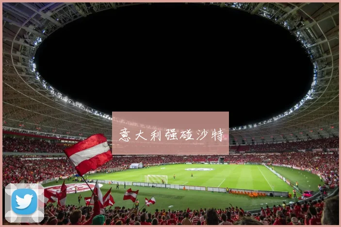 意大利强碰沙特
