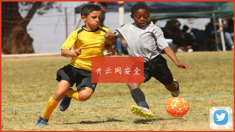 开云网安全