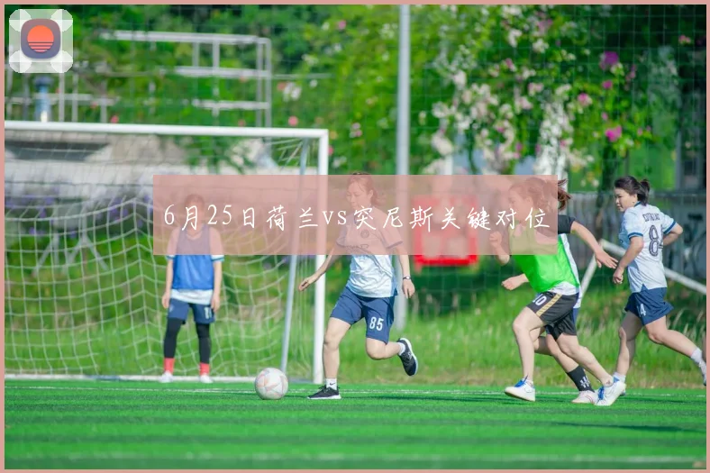 6月25日荷兰vs突尼斯关键对位