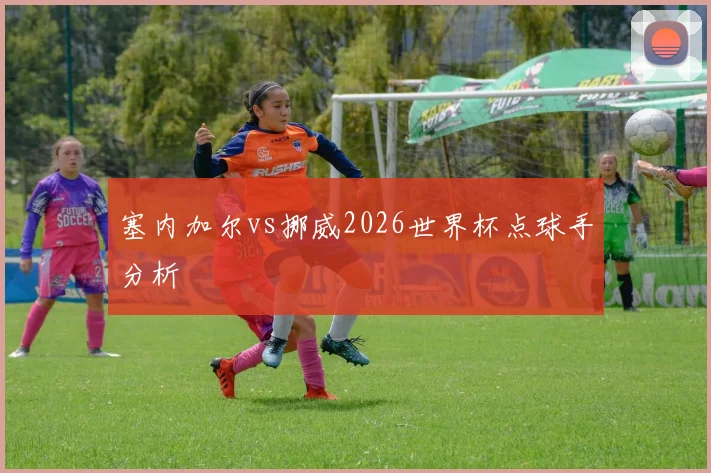 塞内加尔vs挪威2026世界杯点球手分析