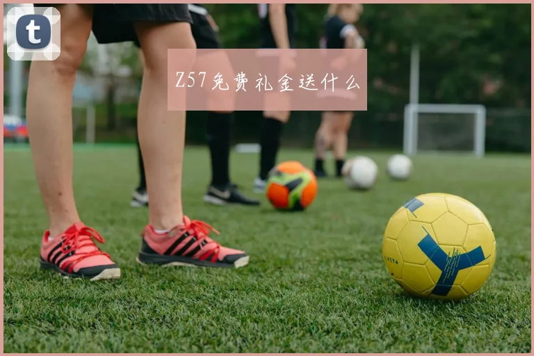 Z57免费礼金送什么