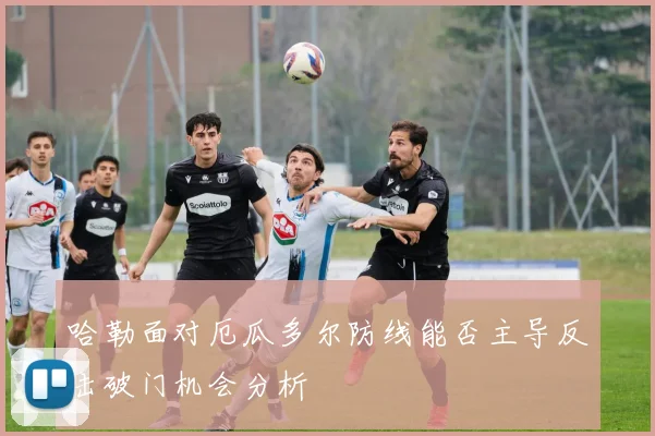 哈勒面对厄瓜多尔防线能否主导反击破门机会分析