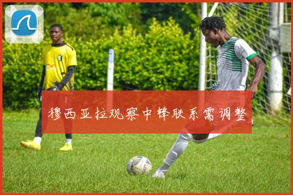 穆西亚拉观察中锋联系需调整