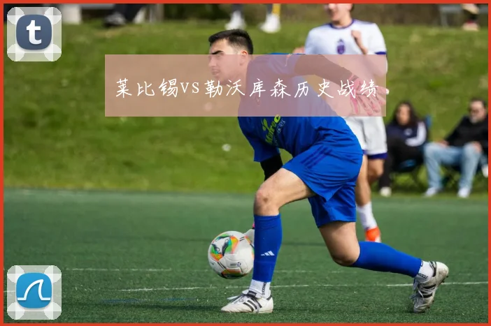 莱比锡vs勒沃库森历史战绩